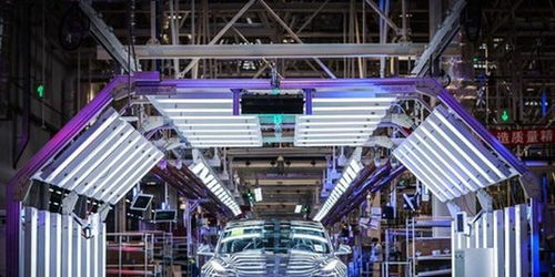 蔚来失守，谁能阻挡特斯拉的铁蹄？